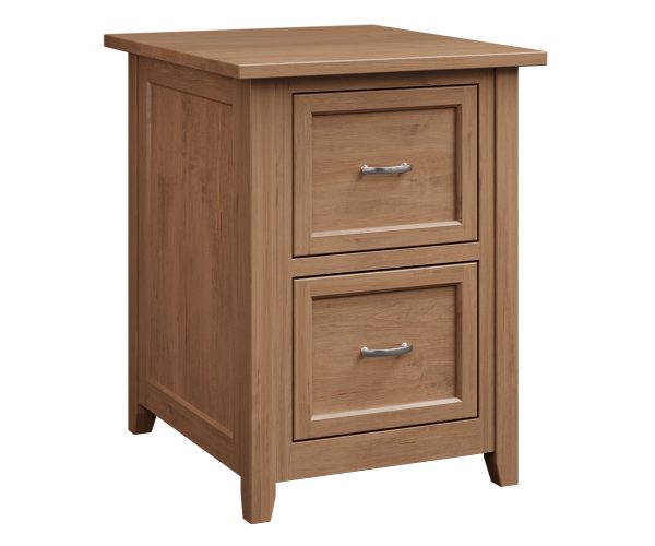 Premier 2 Drawer File